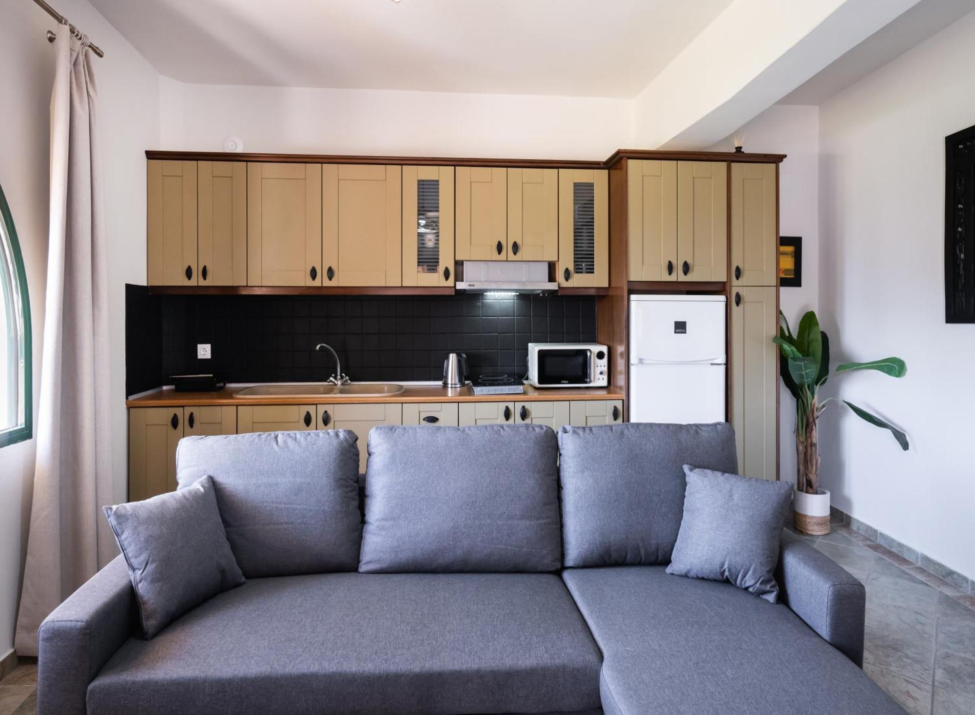 Ammos Family Apartments Vasiliki Buitenkant foto